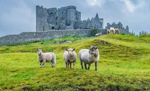 Irlanda & Irlanda del Norte